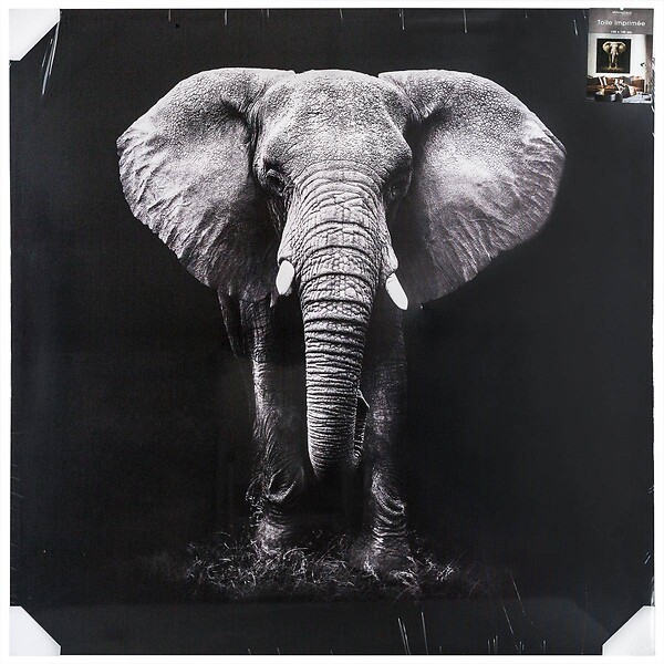 ATMOSPHERA - Toile imprimée éléphant 100x100cm - large
