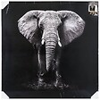 ATMOSPHERA - Toile imprimée éléphant 100x100cm - vignette