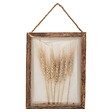 ATMOSPHERA - Déco murale blés Jonas bois 20x25cm - vignette