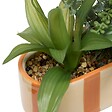 ATMOSPHERA - Plante artificielle Pool en Grès H24cm Orange et Jaune - vignette