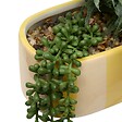 ATMOSPHERA - Plante artificielle Pool en Grès H24cm Orange et Jaune - vignette