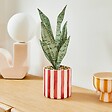 ATMOSPHERA - Plante artificielle en pot Cheri 11,5x11,5cm - vignette