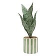 ATMOSPHERA - Plante artificielle en pot Cheri 11,5x11,5cm - vignette