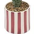 ATMOSPHERA - Plante artificielle en pot Cheri 11,5x11,5cm - vignette