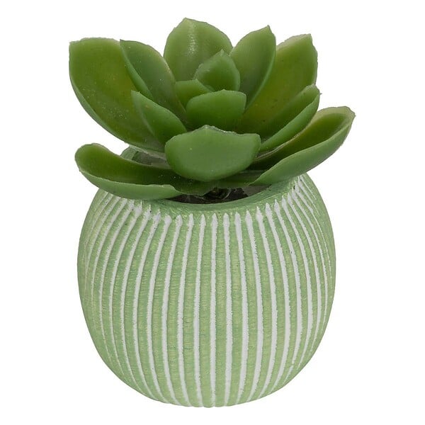 ATMOSPHERA - Plante artificielle petit format "Ubi" H7cm - large