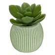 ATMOSPHERA - Plante artificielle petit format "Ubi" H7cm - vignette