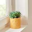 ATMOSPHERA - Plante artificielle en pot Cheri 13x10cm - vignette