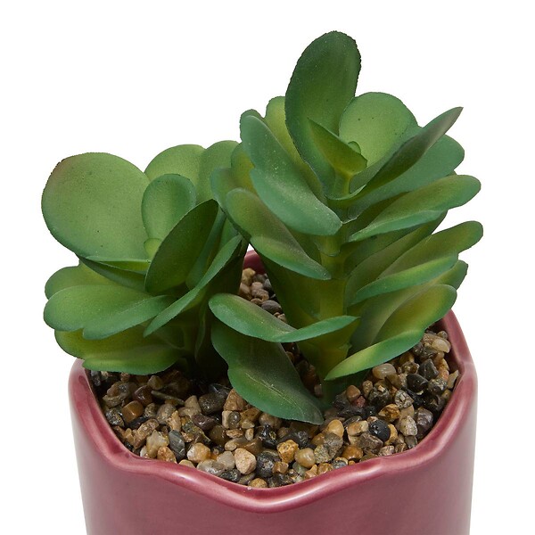 ATMOSPHERA - Plante artificielle en pot Cheri 13x10cm - large