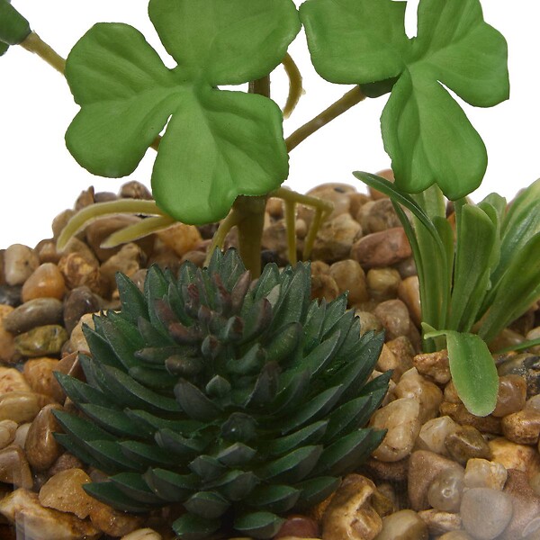 ATMOSPHERA - Terrarium Wilo 11x10cm - large