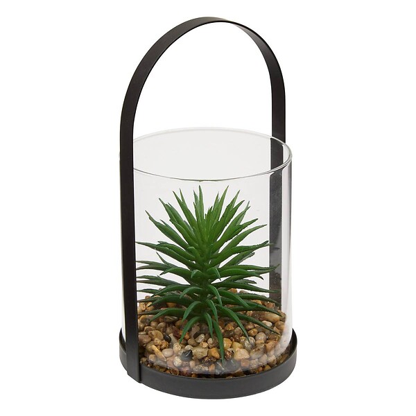 ATMOSPHERA - Terrarium Wilo 11x10cm - large