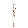 ATMOSPHERA - Fleurs séchées naturelles H100 cm - Multicolore - vignette