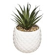 ATMOSPHERA - Plante artificielle "Ananas" - H21 cm - Blanc - vignette