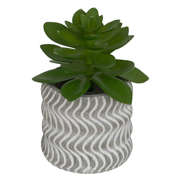 ATMOSPHERA - Plante artificielle petit format "Ubi" H7cm - large