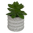 ATMOSPHERA - Plante artificielle petit format "Ubi" H7cm - vignette
