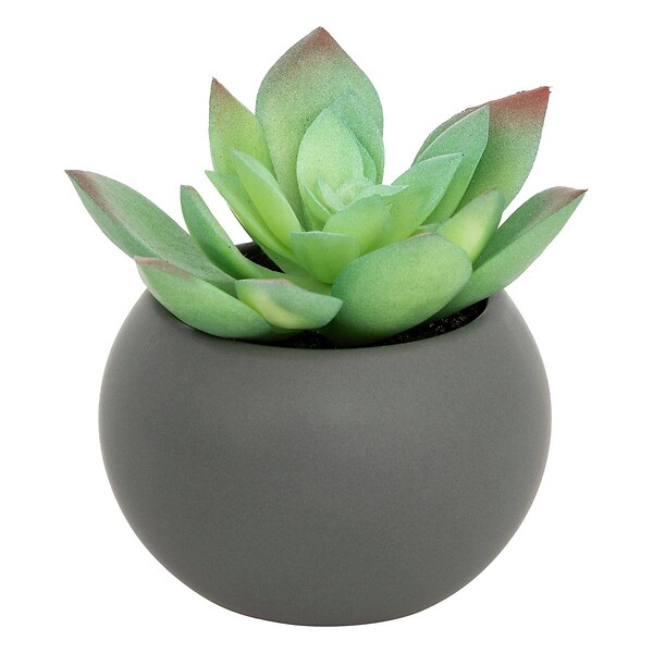 ATMOSPHERA - Plante grasse en pot H13 - large