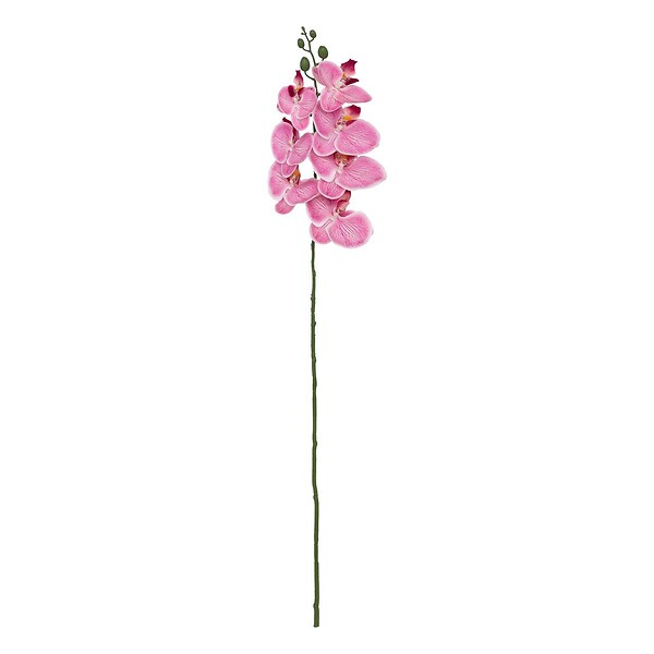 ATMOSPHERA - Tige d'orchidée artificielle "Gisele" H95cm - large