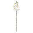 ATMOSPHERA - Tige d'orchidée artificielle "Gisele" H95cm - vignette