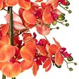 ATMOSPHERA - Orchidée artificielle en pot "Sanae" pot en ciment orange H65cm - vignette