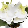 ATMOSPHERA - Fleur Artificielle Mick Orchidée H 23 cm - vignette