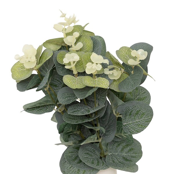 ATMOSPHERA - Composition eucalyptus avec vase "Suza" H37cm - large