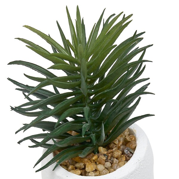 ATMOSPHERA - Plante artificielle Teri 9 cm avec Pot visage - large