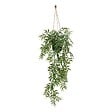 ATMOSPHERA - Plante artificelle suspendue Liora 10x10cm - vignette
