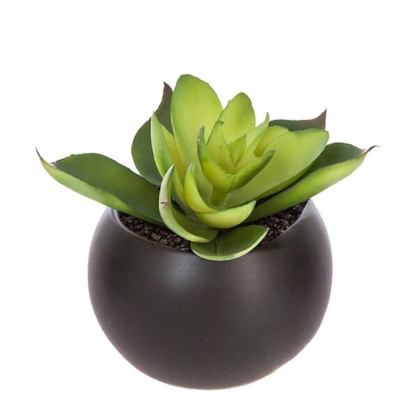 ATMOSPHERA - Plante grasse artificielle - pot en céramique - H8 cm - Blanc - large