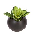 ATMOSPHERA - Plante grasse artificielle - pot en céramique - H8 cm - Blanc - vignette