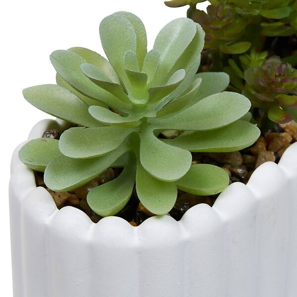 ATMOSPHERA - Plante artificielle Wida 12 cm avec Pot Blanc - large