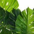 ATMOSPHERA - Philodendron monstera artificiel H110cm - vignette