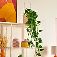 ATMOSPHERA - Plante artificielle suspendue Pool pot céramique beige - vignette