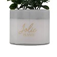 ATMOSPHERA - Plante artificielle en pot "Tayli" H18cm - vignette