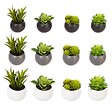 ATMOSPHERA - Plante grasse artificielle - pot en céramique - H8 cm - Blanc - vignette