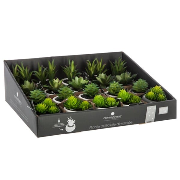 ATMOSPHERA - Plante grasse artificielle - pot en céramique - H8 cm - Blanc - large