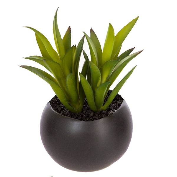 ATMOSPHERA - Plante grasse artificielle - pot en céramique - H8 cm - Blanc - large