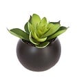 ATMOSPHERA - Plante grasse artificielle - pot en céramique - H8 cm - Blanc - vignette