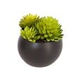 ATMOSPHERA - Plante grasse artificielle - pot en céramique - H8 cm - Blanc - vignette