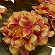 ATMOSPHERA - Composition florale Fria H53cm - vignette