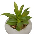 ATMOSPHERA - Plante artificielle en pot Stefi 9x9cm - vignette