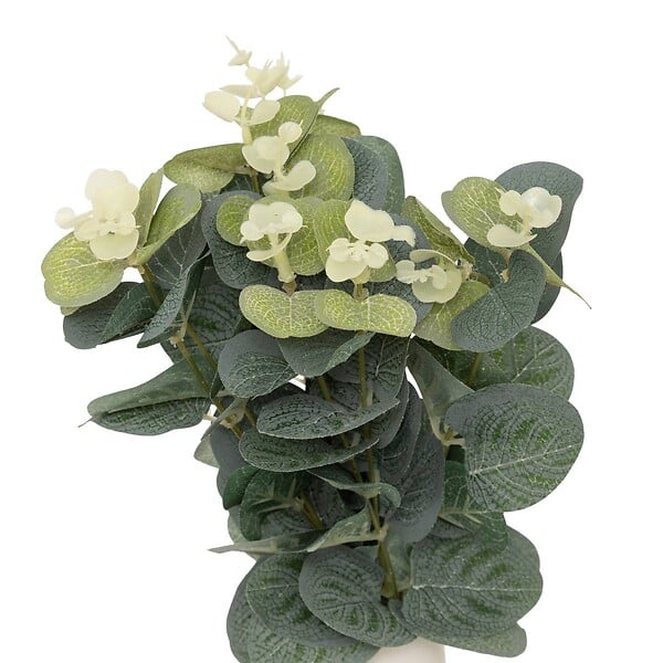 ATMOSPHERA - Composition eucalyptus avec vase "Suza" H37cm - large