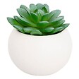 ATMOSPHERA - Plante grasse en pot H13 - vignette