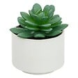 ATMOSPHERA - Plante grasse en pot H13 - vignette