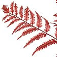 ATMOSPHERA - Tige d'eucalyptus artificielle James rouge rubis H92cm - vignette