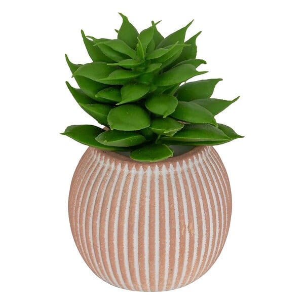 ATMOSPHERA - Plante artificielle petit format "Ubi" H7cm - large