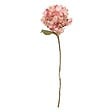 ATMOSPHERA - Fleur artificielle Fria H62cm - vignette