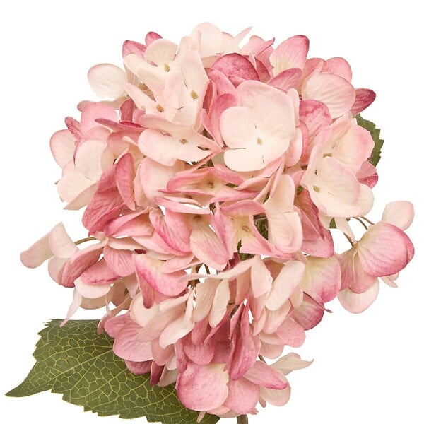 ATMOSPHERA - Fleur artificielle Fria H62cm - large