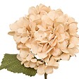 ATMOSPHERA - Fleur artificielle Fria H62cm - vignette
