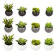 ATMOSPHERA - Plante grasse artificielle - pot en céramique - H8 cm - Blanc - vignette