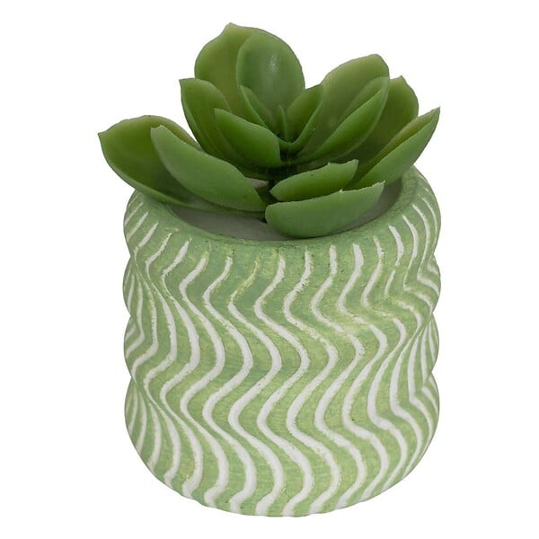 ATMOSPHERA - Plante artificielle petit format "Ubi" H7cm - large