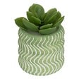 ATMOSPHERA - Plante artificielle petit format "Ubi" H7cm - vignette